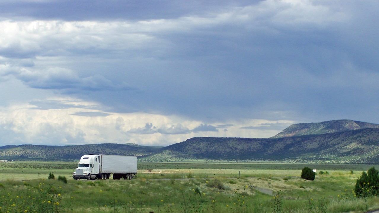 Commercial carrier reviewing DOT deactivation, FMCSA records, and operating status